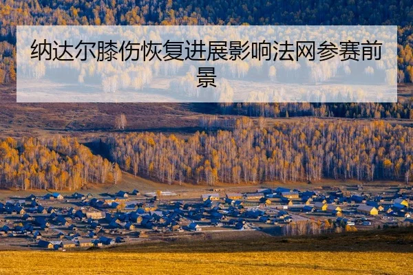 na-da-er-xi-shang-hui-fu-jin-zhan-ying-xiang-fa-wang-can-sai-qian-jing-2-780.jpg